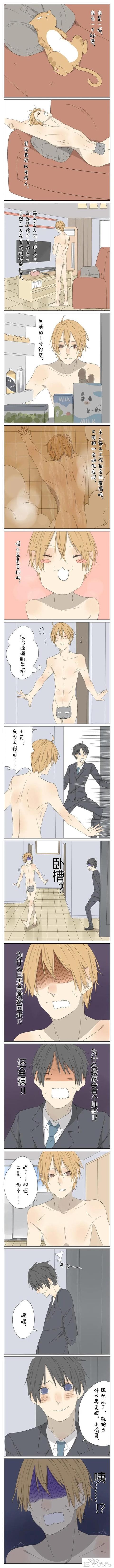 猫：没想到你是这样的铲屎官 #二次元条漫# #漫画# ​-1.jpg