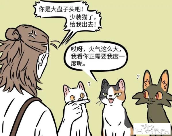非人哉：大士变成猫混进杨戬的咖啡馆！为何一眼就被看穿本体？-2.jpg