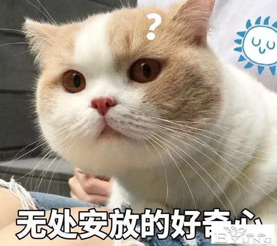 被解雇的美国员工起诉日本周边厂商GSC销售大尺度手办｜ACGN新闻-6.jpg
