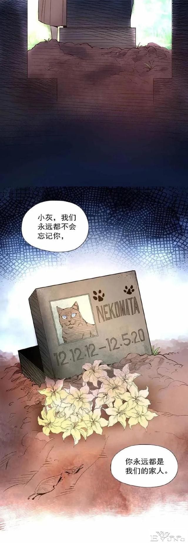 人性漫画——《猫妖》死神的对手-29.jpg