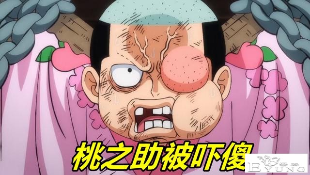 海贼王994集，凯多斩首大蛇，现场所有人被吓傻，只有她狂喜不惊-4.jpg