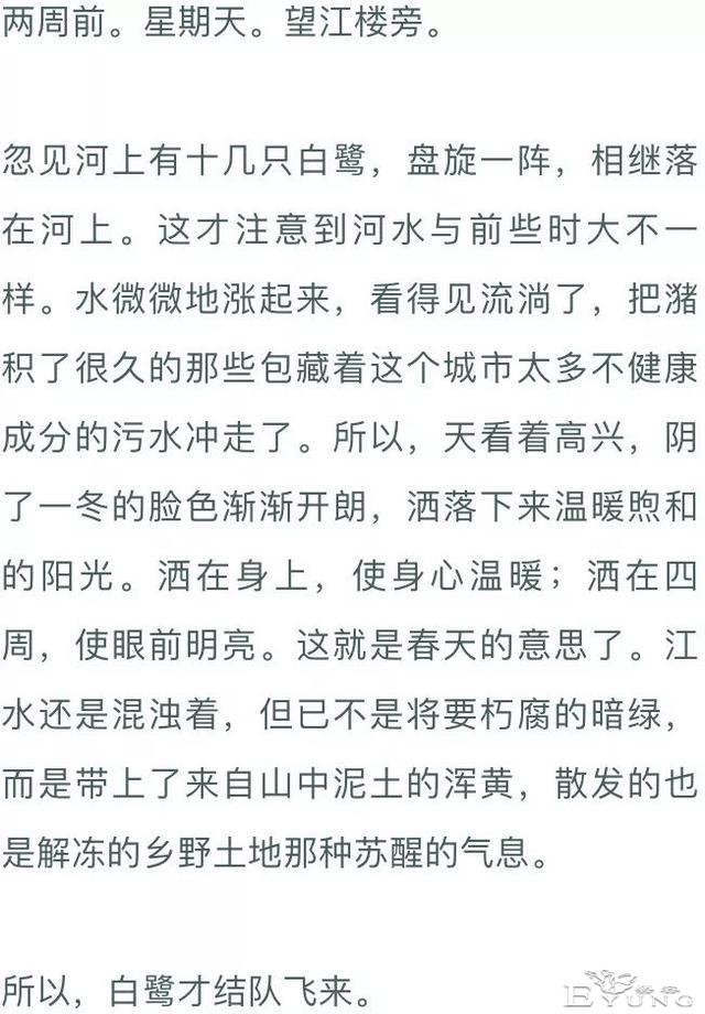 夜话｜阿来：贴梗海棠-4.jpg