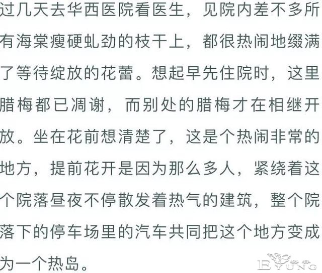 夜话｜阿来：贴梗海棠-6.jpg