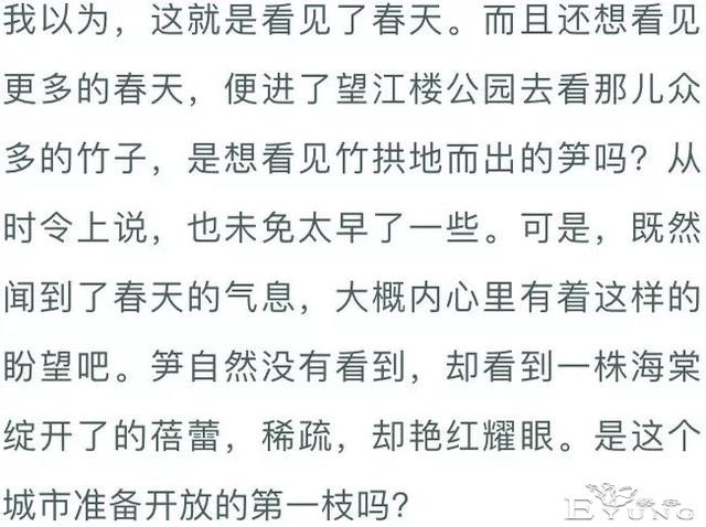 夜话｜阿来：贴梗海棠-5.jpg