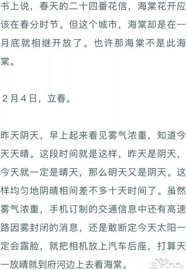 夜话｜阿来：贴梗海棠-7.jpg