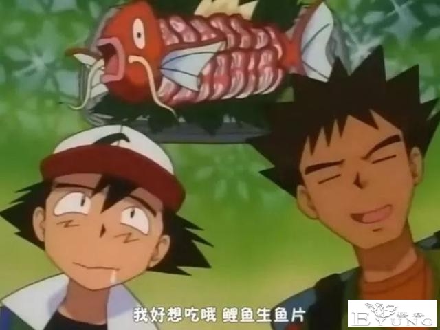 《精灵宝可梦》引起争议！或许只有火箭队才是正义的-7.jpg