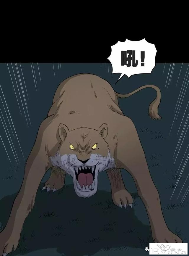 中长篇漫画之我的动物妈妈（下）-57.jpg