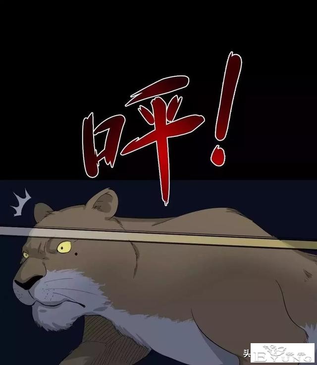 中长篇漫画之我的动物妈妈（下）-56.jpg