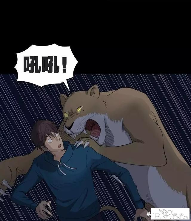 中长篇漫画之我的动物妈妈（下）-61.jpg
