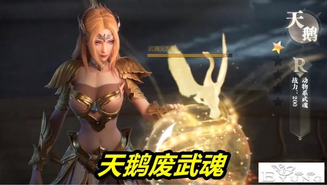 斗罗：千仞雪竟是废武魂，菊斗罗嘲讽，比比东扬言一只蜘蛛吊打她-1.jpg
