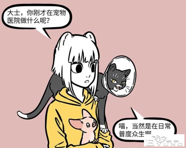 非人哉：大士真的太善良了，化身成猫被绝育了，依然不忘普度世人-1.jpg