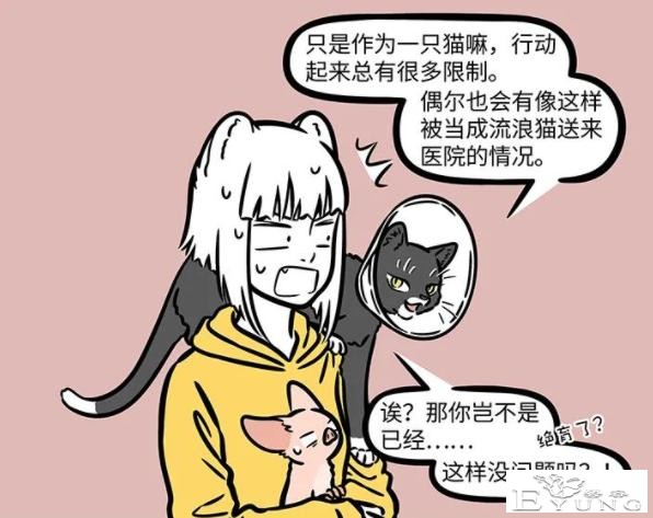 非人哉：大士真的太善良了，化身成猫被绝育了，依然不忘普度世人-2.jpg