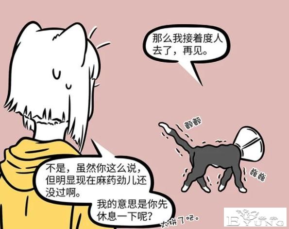 非人哉：大士真的太善良了，化身成猫被绝育了，依然不忘普度世人-4.jpg
