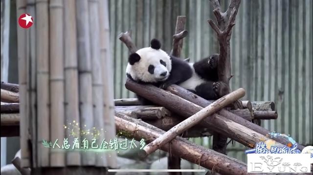 沪蓉音乐综艺首次“基因共融”：《一路唱响》中的成都畅想-4.jpg