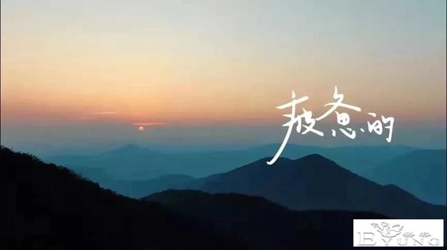 央视又一神综艺，社畜看完好治愈-9.jpg
