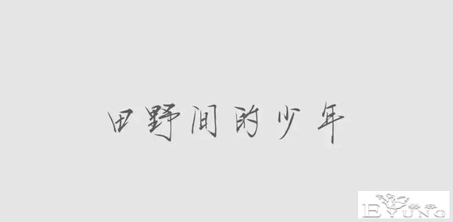 央视又一神综艺，社畜看完好治愈-7.jpg