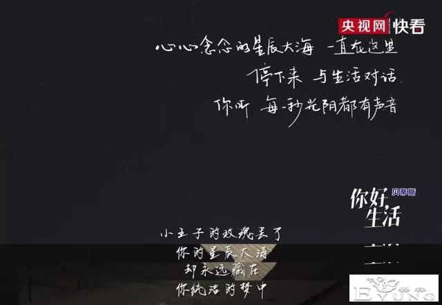 央视又一神综艺，社畜看完好治愈-17.jpg