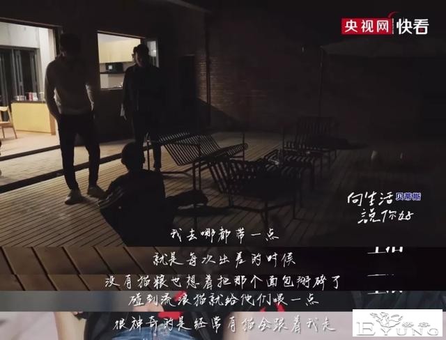 央视又一神综艺，社畜看完好治愈-19.jpg