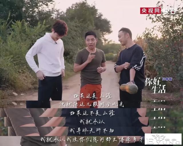 央视又一神综艺，社畜看完好治愈-36.jpg