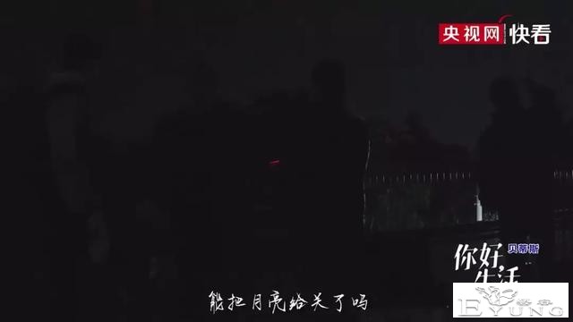 央视又一神综艺，社畜看完好治愈-45.jpg