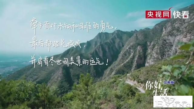 央视又一神综艺，社畜看完好治愈-48.jpg