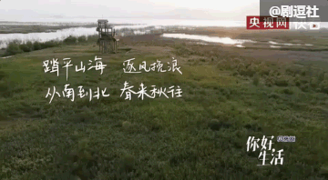 央视又一神综艺，社畜看完好治愈-50.jpg
