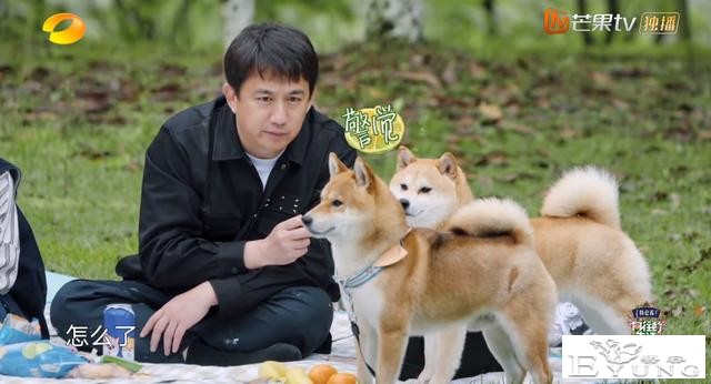 《向往5》付费观看引争议，17分钟片段卖200万，会员用户额外收费-2.jpg