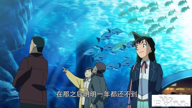 为什么说是虐恋？那就从小兰半年见了多少次新一说起-2.jpg