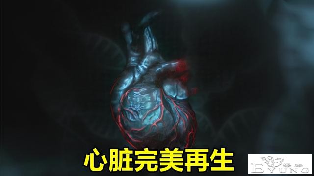 假面骑士Revice：爸爸变身邪恶贝尔，一拳一个怪，父慈子孝虐儿子-2.jpg