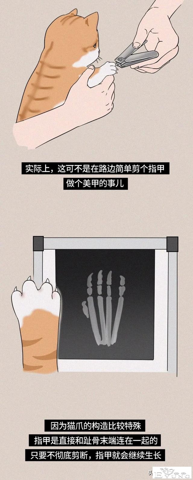 我逃过了虐猫者，却没逃过这场手术（漫画）-5.jpg