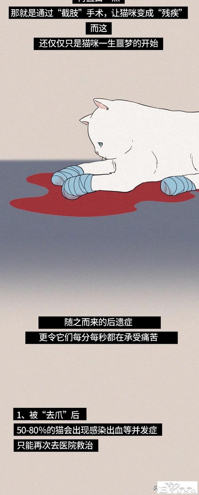 我逃过了虐猫者，却没逃过这场手术（漫画）-7.jpg