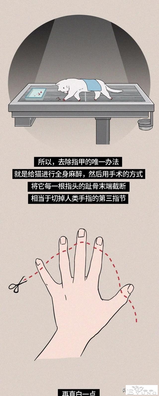 我逃过了虐猫者，却没逃过这场手术（漫画）-6.jpg