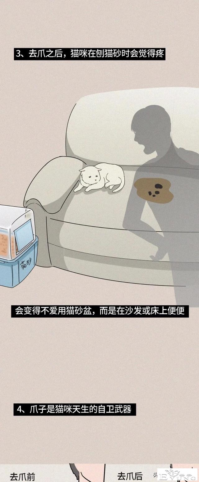 我逃过了虐猫者，却没逃过这场手术（漫画）-9.jpg