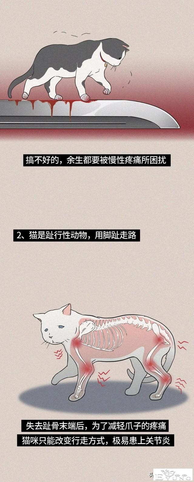 我逃过了虐猫者，却没逃过这场手术（漫画）-8.jpg