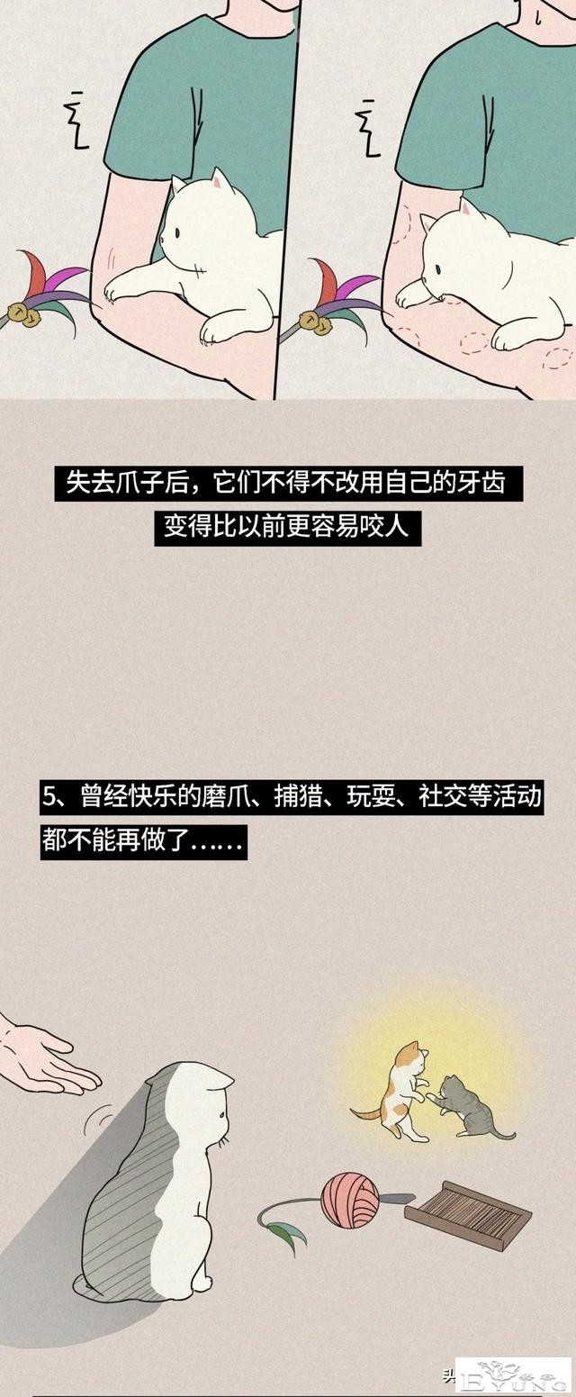 我逃过了虐猫者，却没逃过这场手术（漫画）-10.jpg