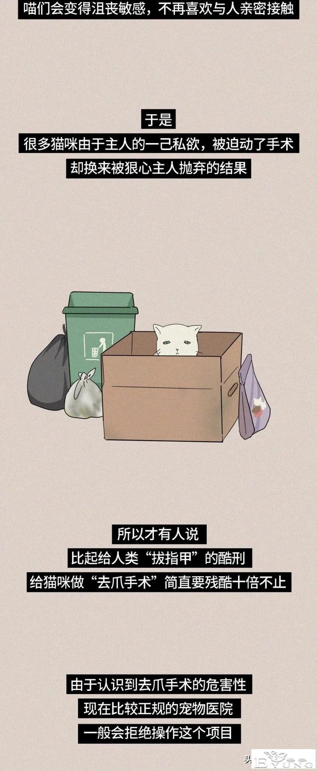 我逃过了虐猫者，却没逃过这场手术（漫画）-11.jpg