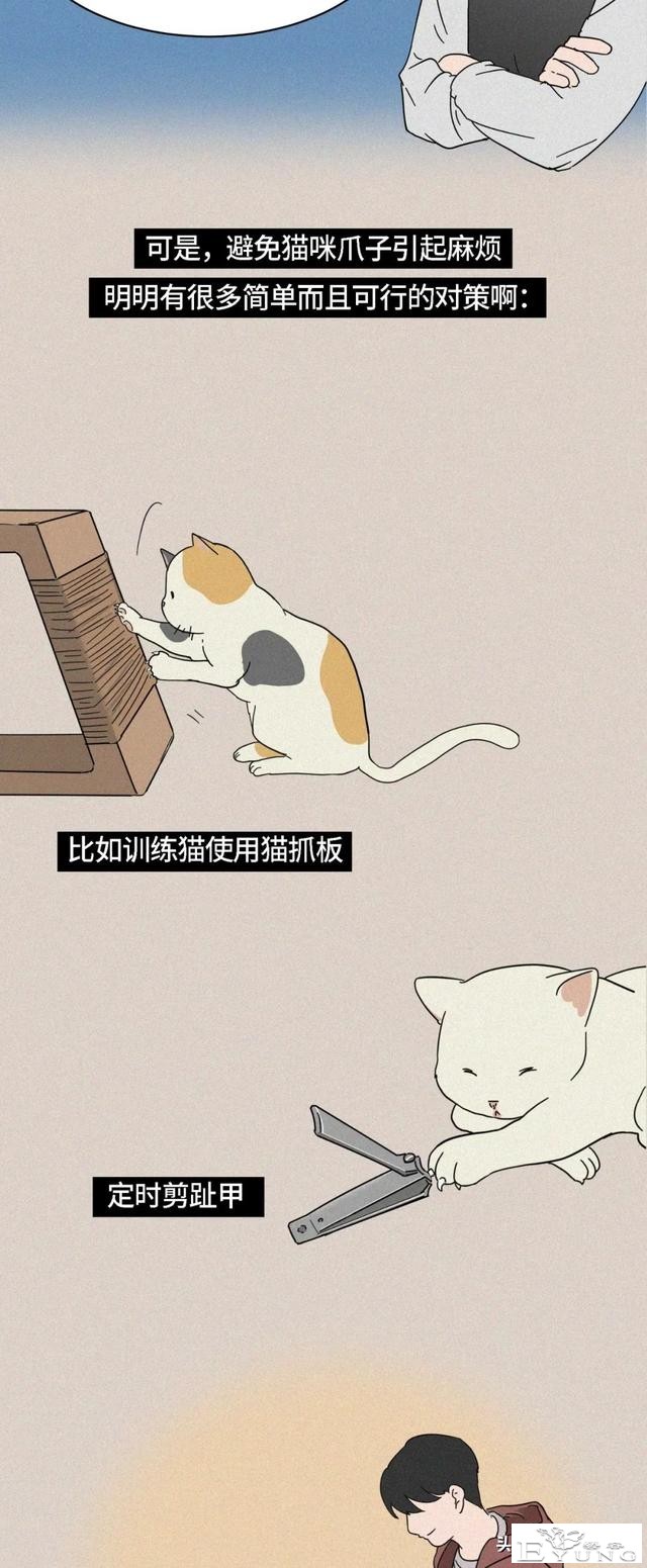 我逃过了虐猫者，却没逃过这场手术（漫画）-14.jpg