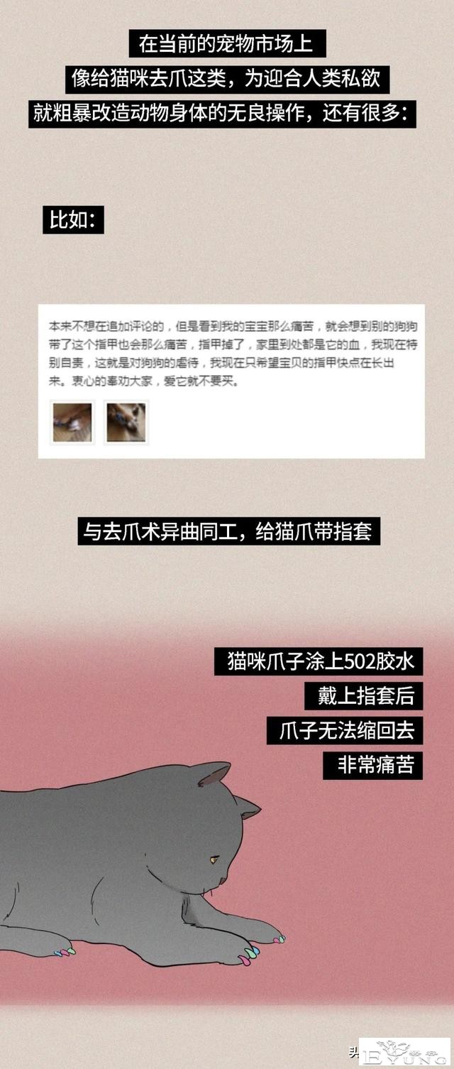 我逃过了虐猫者，却没逃过这场手术（漫画）-16.jpg