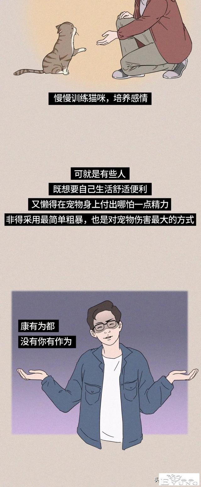 我逃过了虐猫者，却没逃过这场手术（漫画）-15.jpg