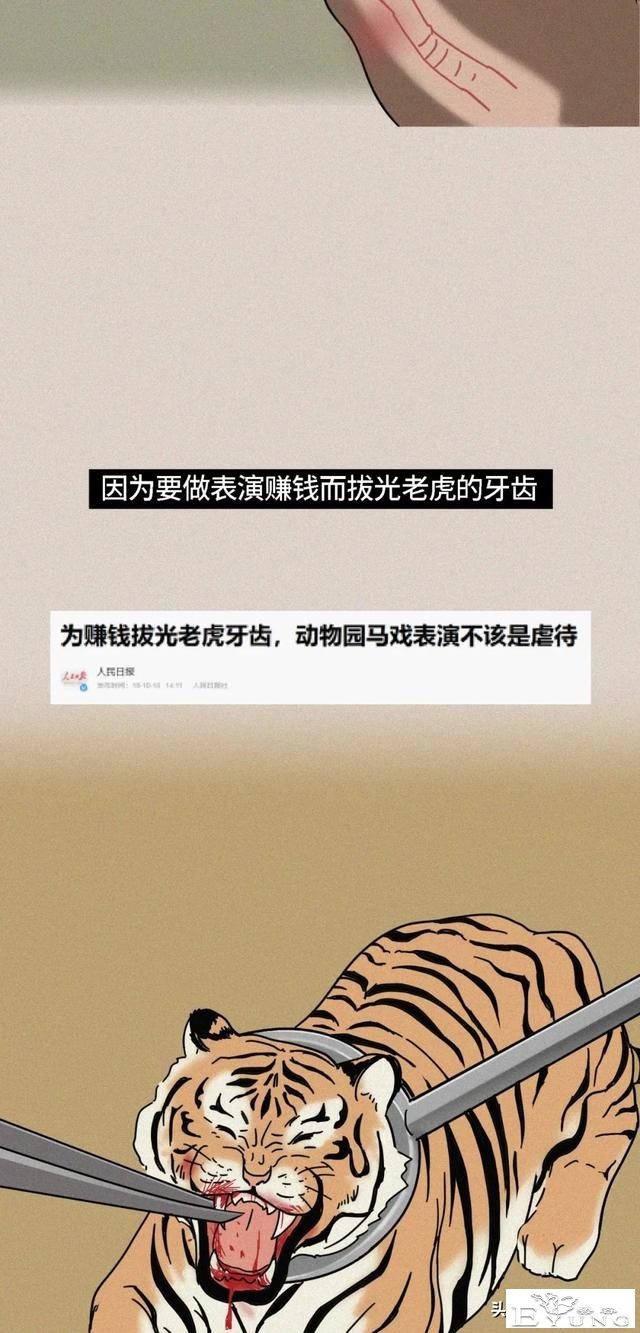 我逃过了虐猫者，却没逃过这场手术（漫画）-18.jpg