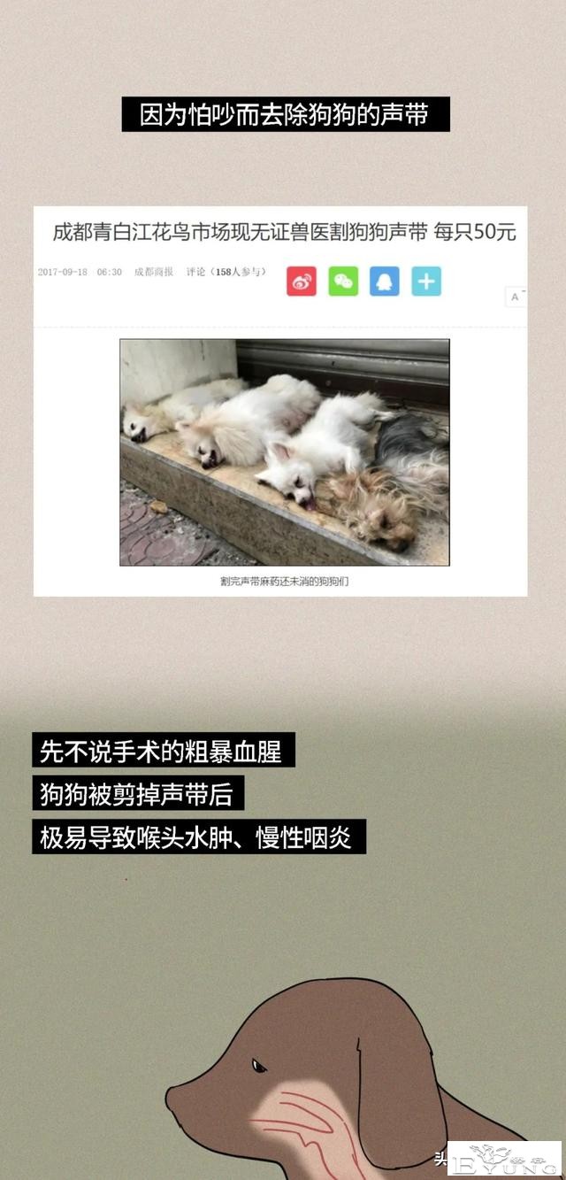 我逃过了虐猫者，却没逃过这场手术（漫画）-17.jpg