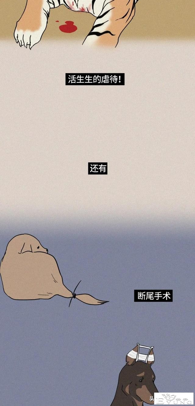 我逃过了虐猫者，却没逃过这场手术（漫画）-19.jpg