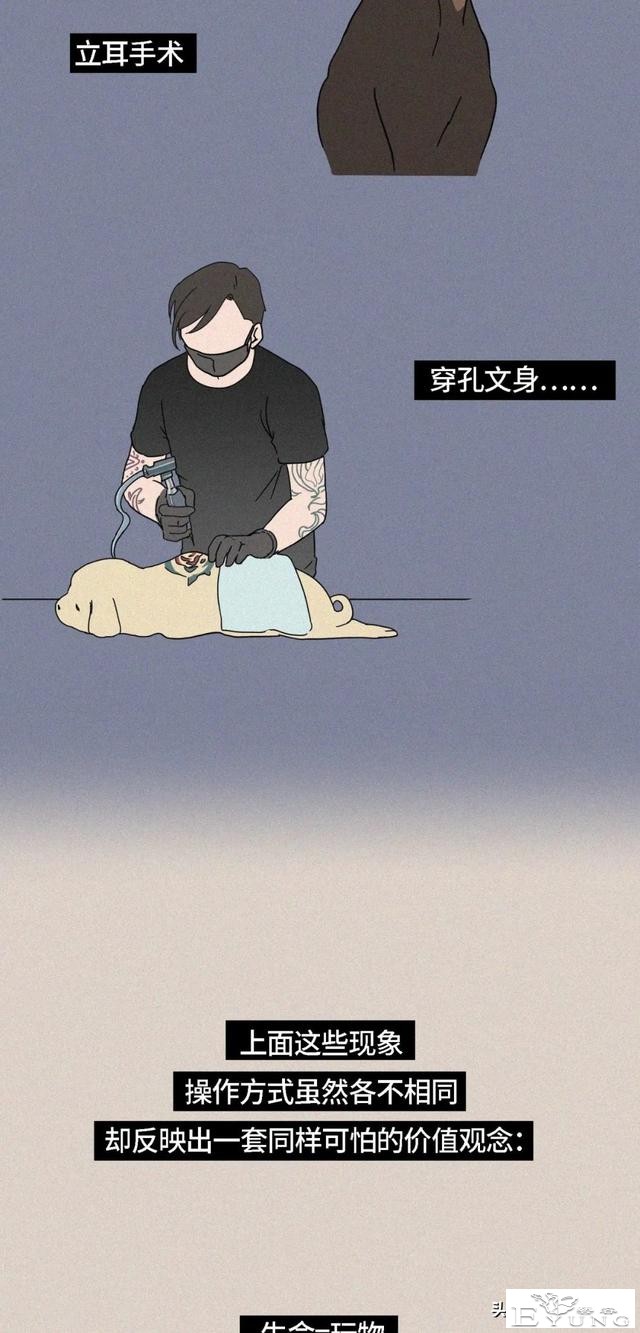 我逃过了虐猫者，却没逃过这场手术（漫画）-20.jpg
