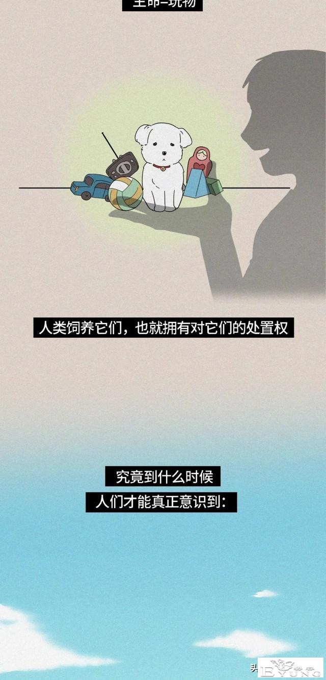 我逃过了虐猫者，却没逃过这场手术（漫画）-21.jpg