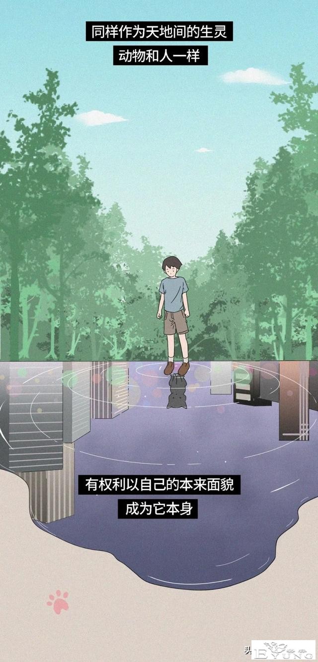我逃过了虐猫者，却没逃过这场手术（漫画）-22.jpg