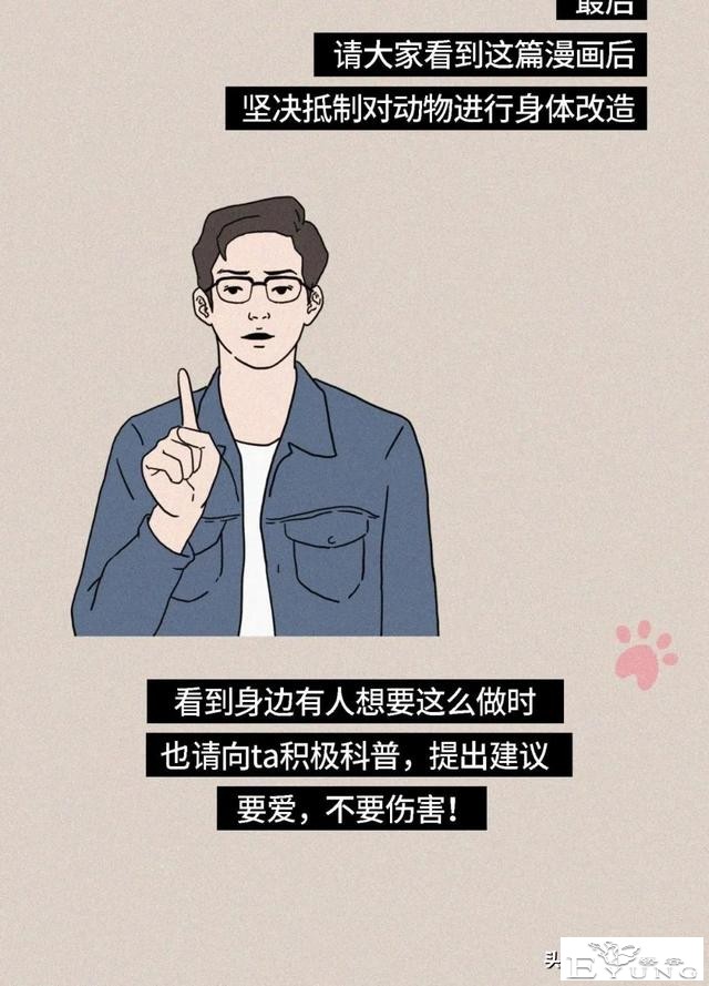 我逃过了虐猫者，却没逃过这场手术（漫画）-24.jpg