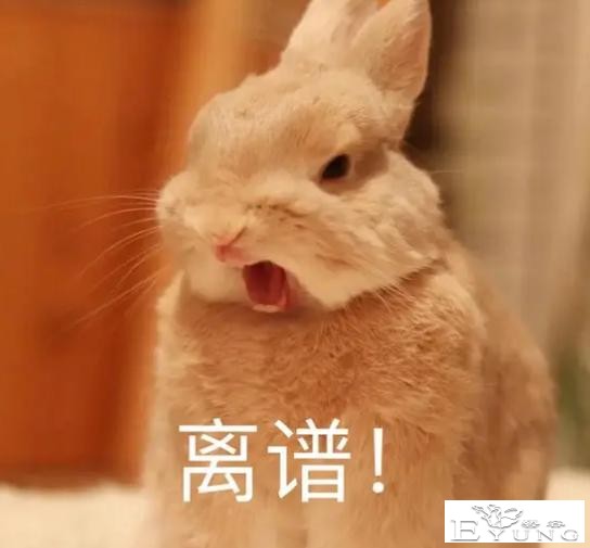 最离谱女装大佬！变身女coser混入C圈，只为获得美女签名海报？-4.jpg
