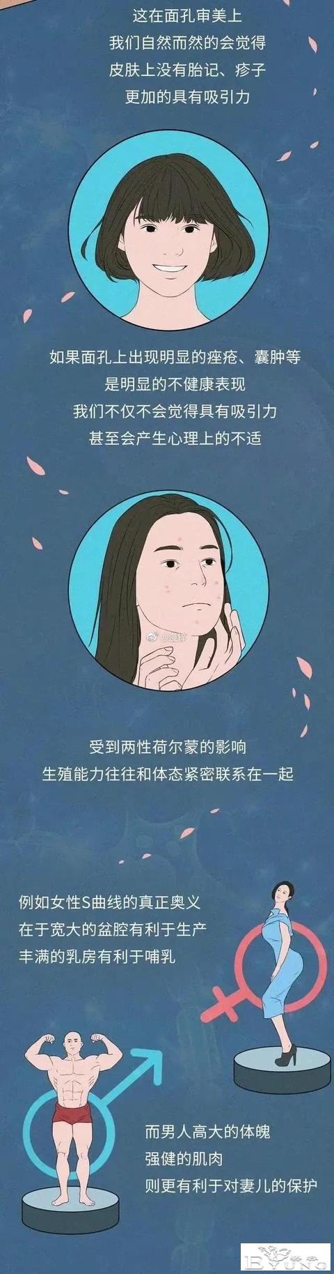 漫画：人类为何喜欢和长相好看的人交配繁衍？-8.jpg