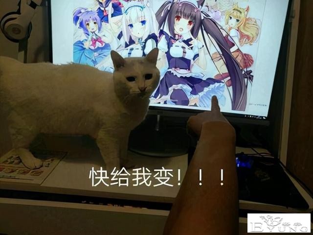 这位画师大佬的同人真不能多看，看了就想对自家猫说：快给我变-1.jpg