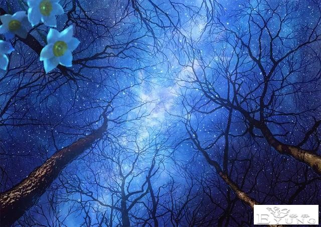 精选二次元风格星空美景图-8.jpg